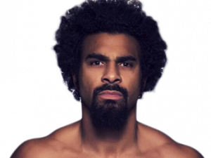 David Haye