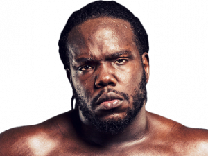 Bermane Stiverne
