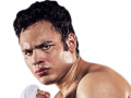 Julio Cesar Chavez Jr photo