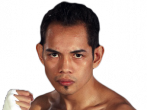 Nonito Donaire photo