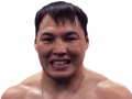 Ruslan Provodnikov photo