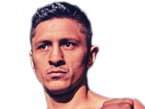 Ronald Gavril
