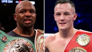 What next for Whyte & Warrington? Costello & Bunce analysis