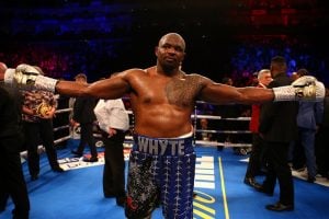 Dillian Whyte appeal: WBC explain full reasoning behind mandatory decision