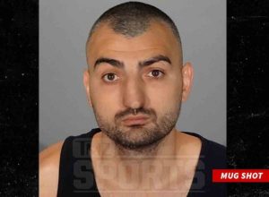 Vanes Martirosyan Arrested For Felony Domestic Violence