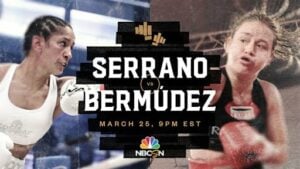 Amanda Serrano defends unified featherweight titles with KO over Daniela Bermudez