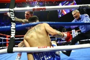 Valdez vs Lopez rematch reportedly joins Haney vs Lomachenko