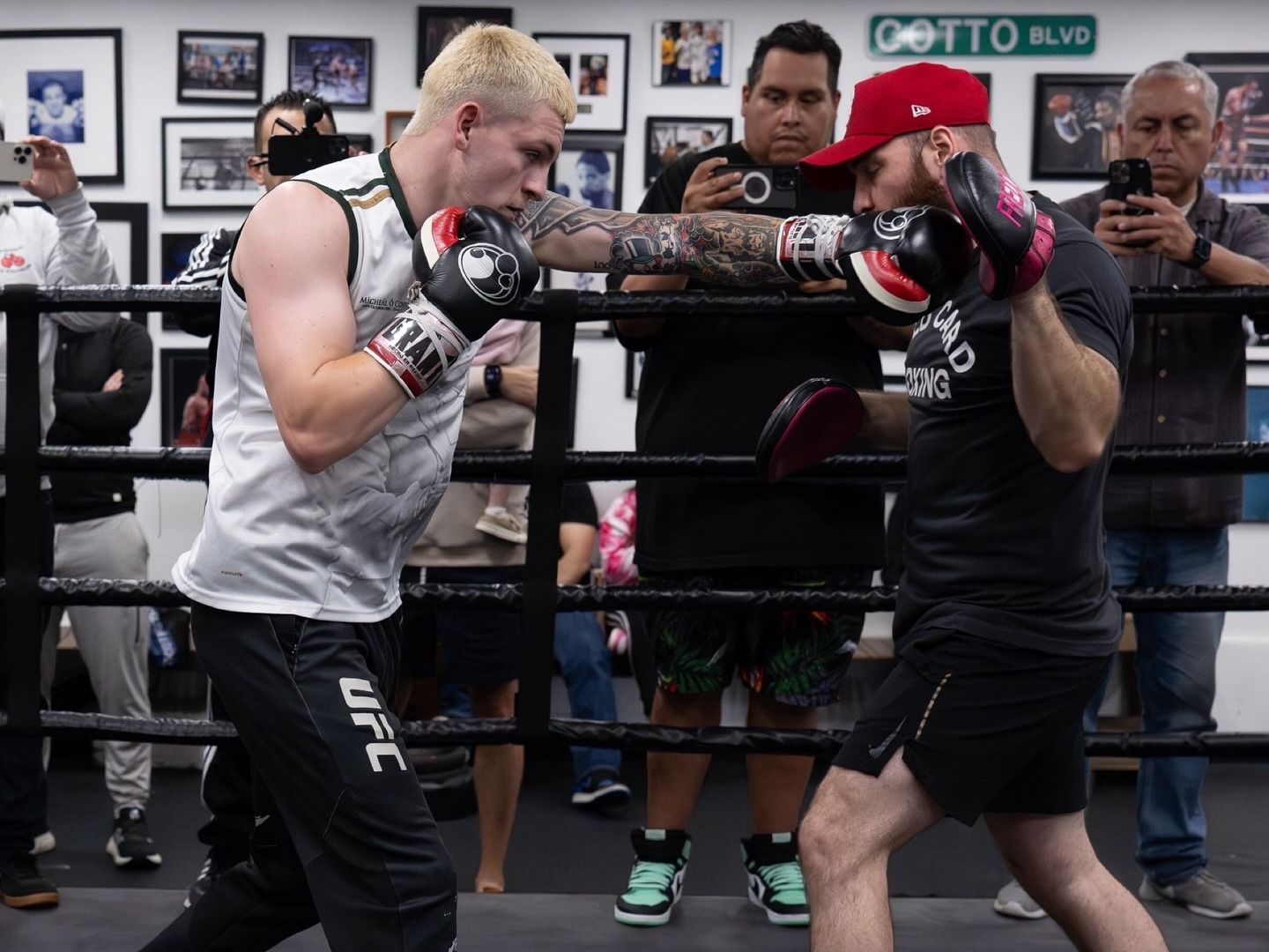 Callum Walsh-Fernando Vargas Jr: Freddie Roach Predicts 'Breakout Performance'