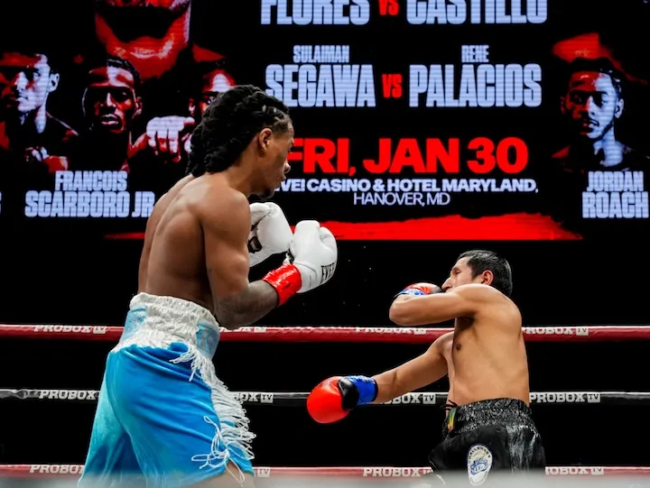 Jordan rules: Jordan White rebuilds, Jordan Roach dominates