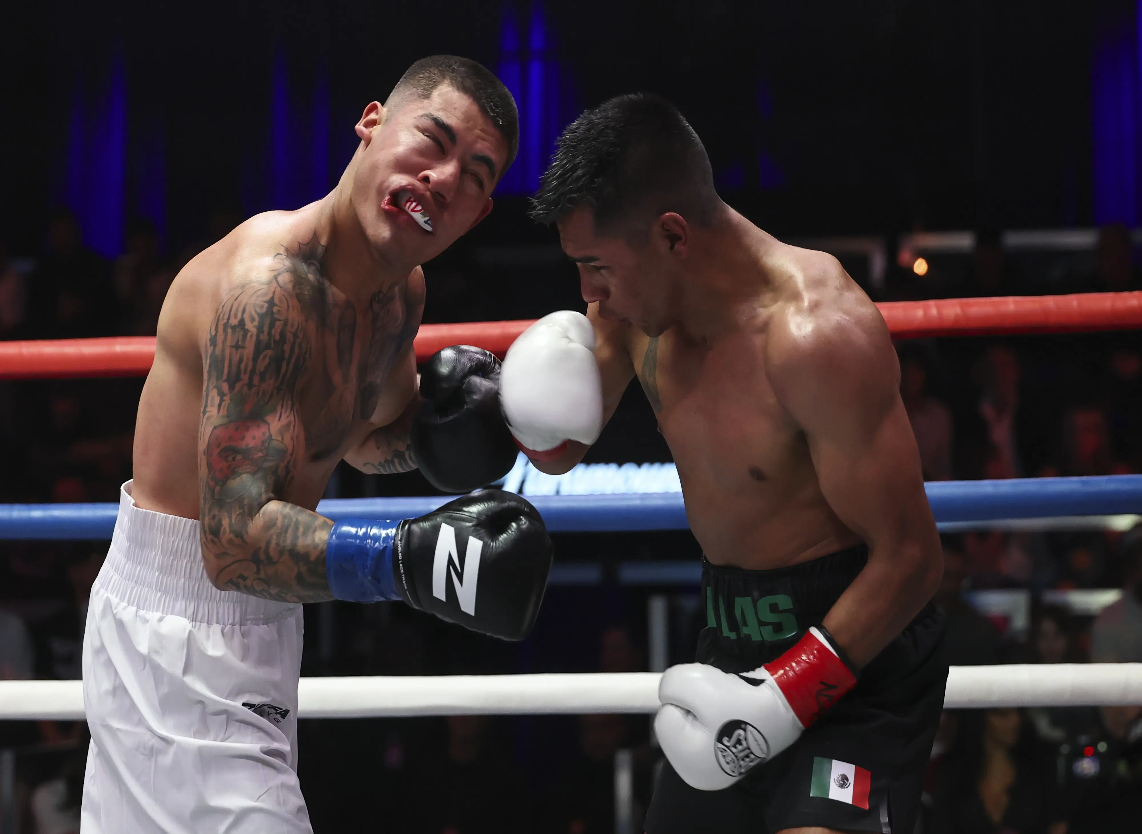 Salas Stops Saracho In Zuffa Boxing Co-Feature