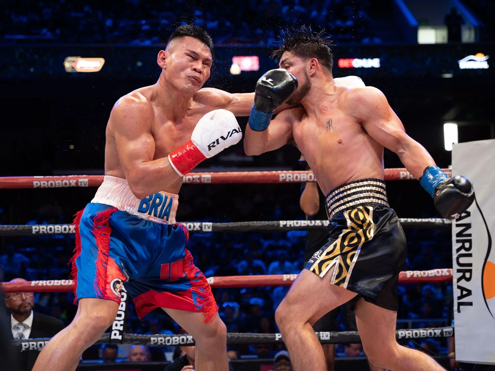 Towels wave as Carlos Ocampo, Jordan White collect ProBoxTV triumphs